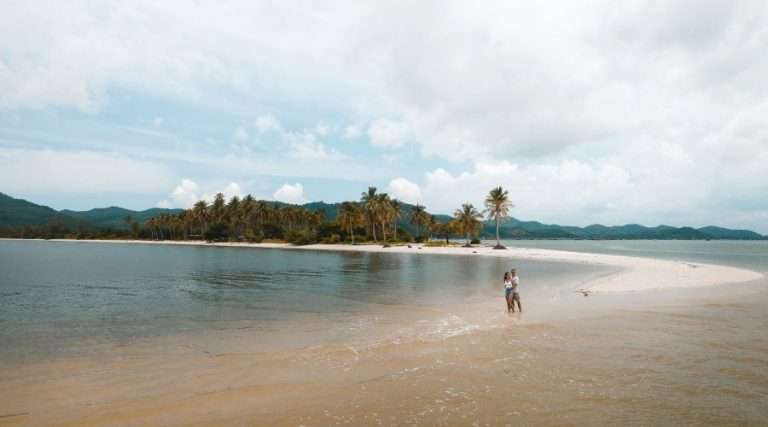 More than an ordinary sea cucumber: the Koh Yao Sea Cucumber