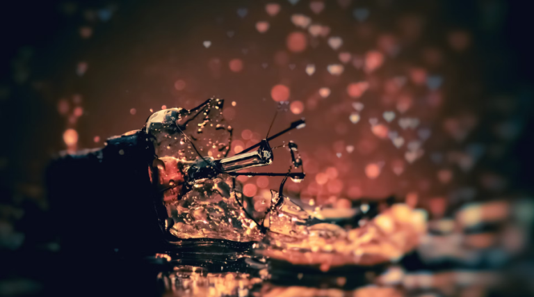 Cancellation of trademarks for non-use in Thailand