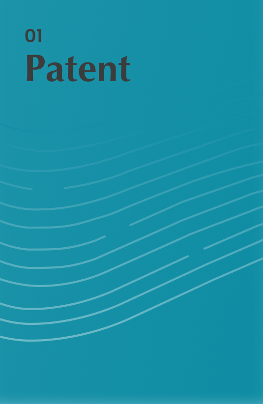 Patent