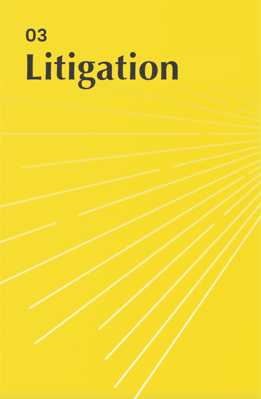 Litigation